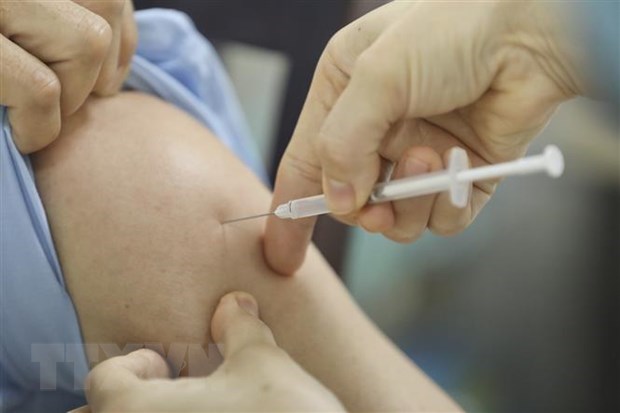 越南无新增病例 累计新冠疫苗接种人数超过30900人 hinh anh 1