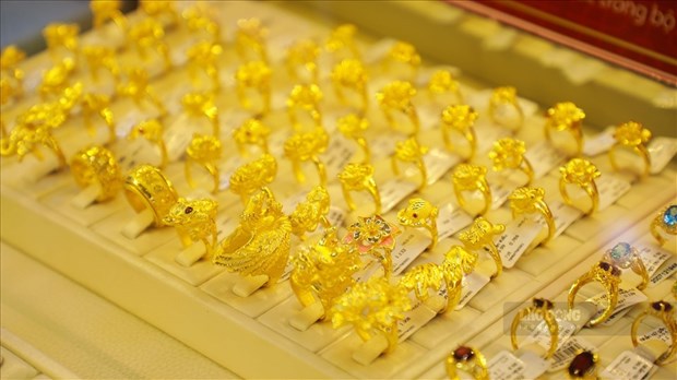 今日上午越南国内市场黄金价格稳定在5500万越盾以上 hinh anh 1