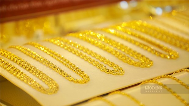 今日上午越南国内市场黄金价格每两下降13万越盾 hinh anh 1