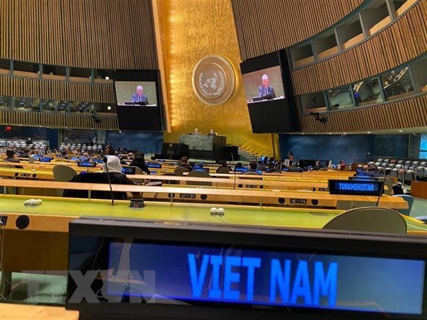 越南与联合国安理会：凸显越南在联合国安理会的作用和地位 hinh anh 1