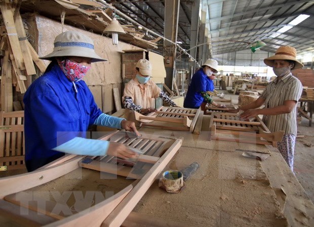 越南有望加大对法国市场出口木材力度 hinh anh 1
