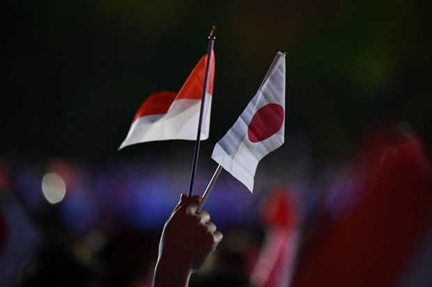日本和印尼加强防务合作 hinh anh 1
