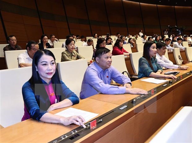 越南第十四届国会第十一次会议：开始国家主席和政府总理选举流程 hinh anh 1