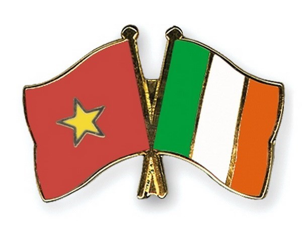 越南领导人致电祝贺越南-爱尔兰建交25周年 hinh anh 1