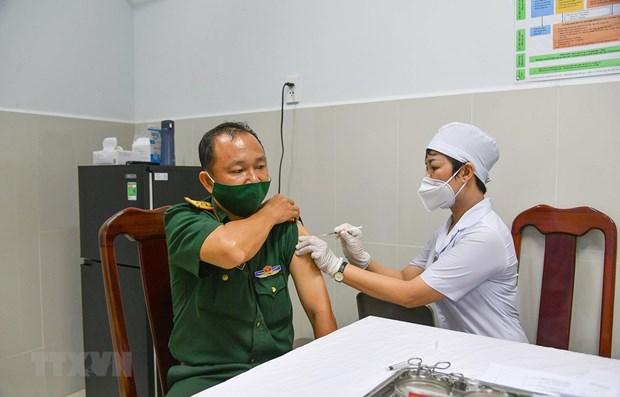 11日上午越南无新增新冠肺炎确诊病例 hinh anh 1