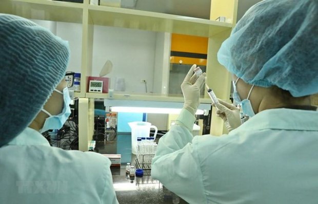 越南政府为国内新冠疫苗研发与生产工作创造便利条件 hinh anh 1
