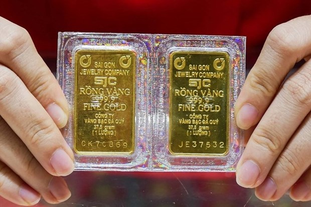 14日上午越南国内市场黄金价格每两上涨17万越盾 hinh anh 1