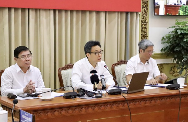 越南政府副总理武德儋指导胡志明市和西南边境10省的疫情防控工作 hinh anh 1