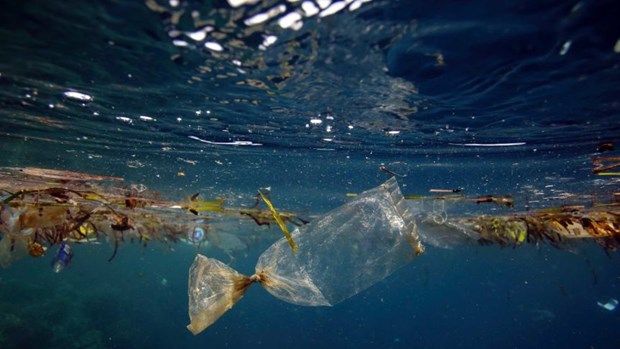 日本协助越南进行海洋科研和处理塑料废料 hinh anh 1