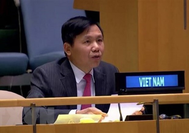 越南与联合国安理会：越南支持促进波黑和解及经济发展的努力 hinh anh 1