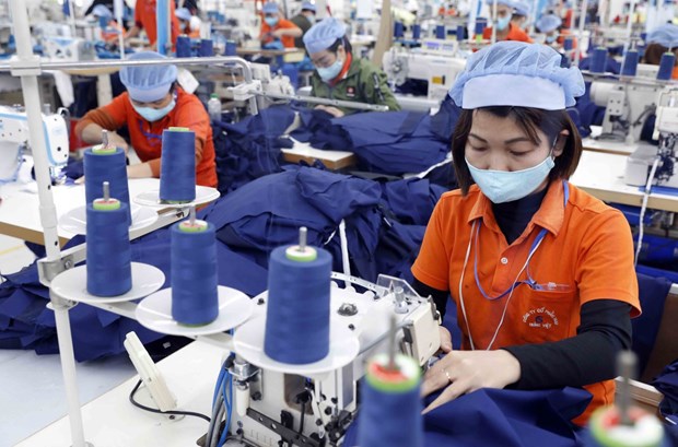 越南纺织业力争实现可持续发展目标 hinh anh 1