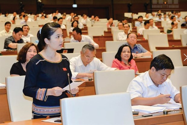 越南计划将少数民族国会代表比例提升至18% hinh anh 1