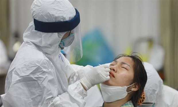 12日下午越南新增30例新冠肺炎确诊病例 hinh anh 1