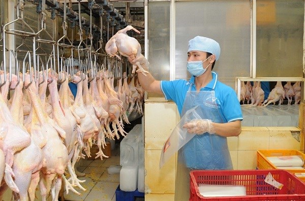 2021年第一季度越南畜产品出口额同比增长了34.7% hinh anh 1