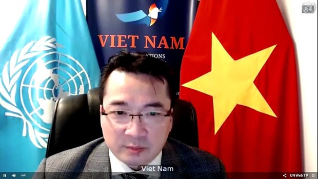 越南呼吁利比亚遵守停火协议 hinh anh 2