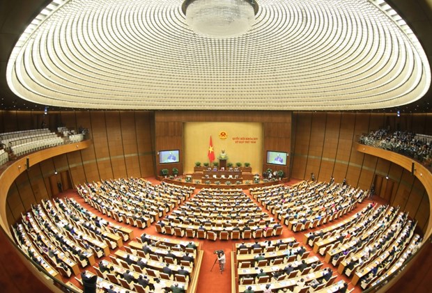 国会代表和人民议会代表选举：德国媒体高度评价越南国会在国家发展中的作用 hinh anh 1