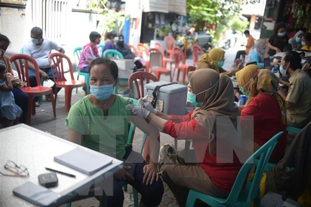 新冠肺炎疫情：印尼加大中国新冠疫苗进口力度 hinh anh 1