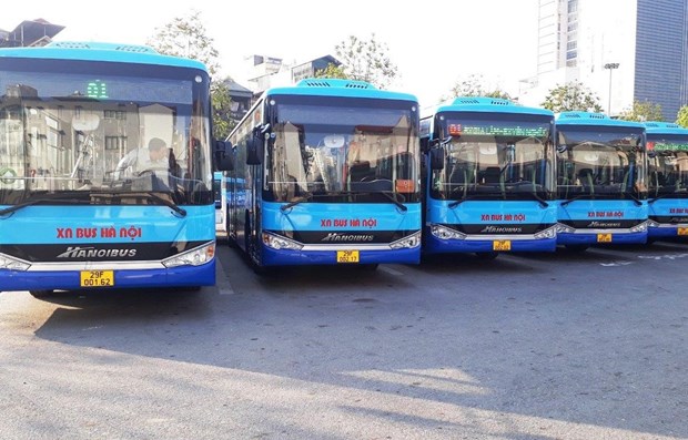 河内市拟开设90至100条新公交车线路 hinh anh 1
