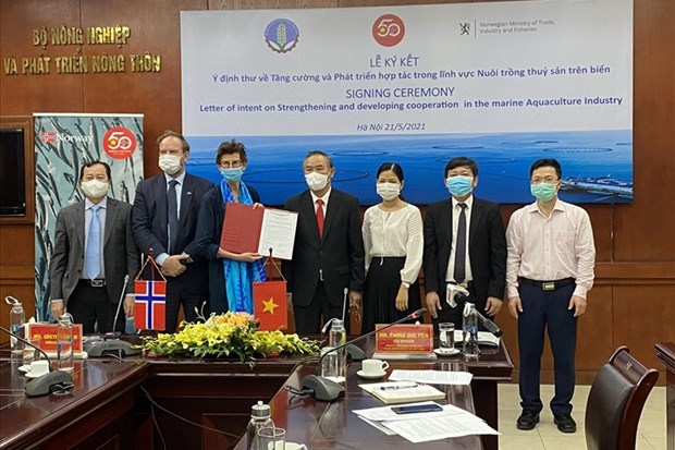 越南与挪威互相分享海水产业化养殖发展的经验 hinh anh 1