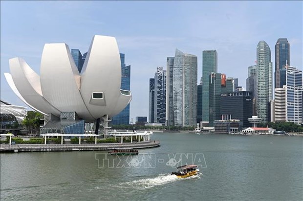 2021年新加坡经济有望增长4-6％ hinh anh 1