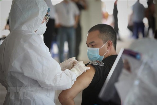 越南外交部发言人：加速谈判 寻找新冠疫苗供货源 hinh anh 1