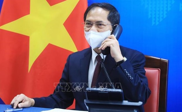 越南外交部长裴青山与美国国务卿布林肯通电话 hinh anh 1