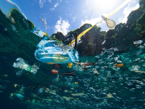 东盟启动《应对海洋塑料垃圾的行动计划》 hinh anh 1
