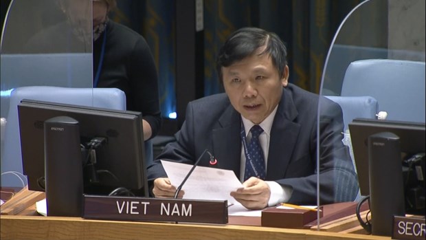 越南与联合国安理会：越南呼吁促进恢复巴勒斯坦问题谈判 hinh anh 2