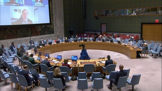 越南与联合国安理会：越南呼吁促进恢复巴勒斯坦问题谈判 hinh anh 1