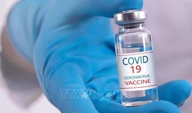 2021年越南将有1.2亿剂新冠疫苗 hinh anh 1