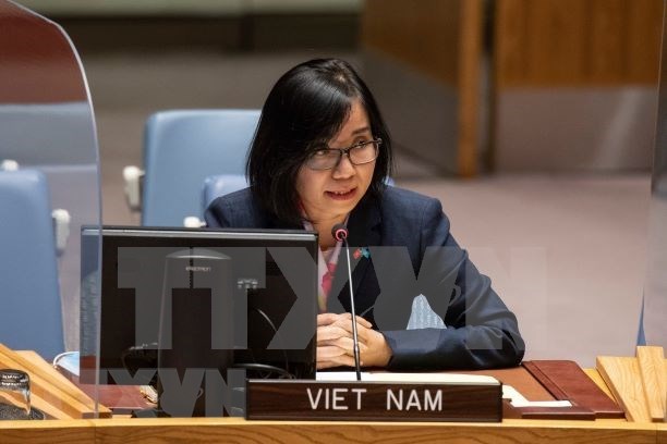越南与联合国安理会：越南敦促有关各方进行对话 解决有关Safer号油轮的分歧 hinh anh 1