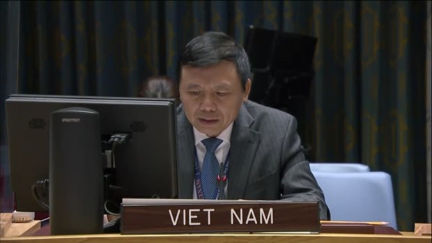 越南与联合国安理会：越南承诺促进联合国宪章和国际法的作用 hinh anh 1