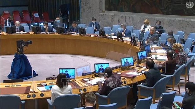 越南与联合国安理会：越南呼吁加强对苏丹平民的保护 hinh anh 1