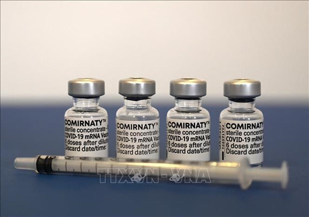 越南卫生部批准辉瑞拜恩泰科疫苗 hinh anh 1