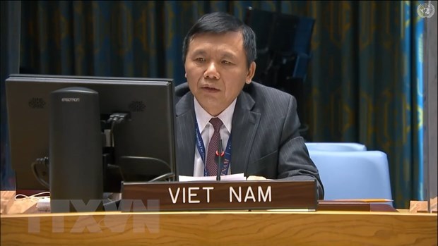 越南与联合国安理会：越南呼吁马里加强民族和谐和推进过渡进程 hinh anh 1