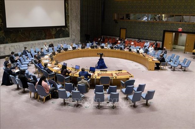 联合国安理会就苏丹、索马里和戈兰高地形势召开会议 hinh anh 1