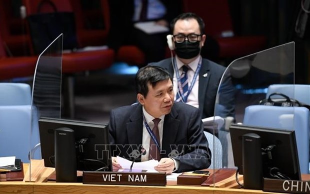 越南与联合国安理会：越南敦促各方接受联合国提出的也门和平倡议 hinh anh 1