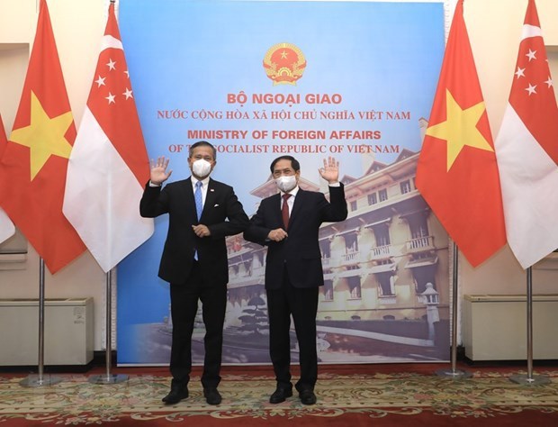 越南与新加坡面向达成有关数字经济的双边协议 hinh anh 1