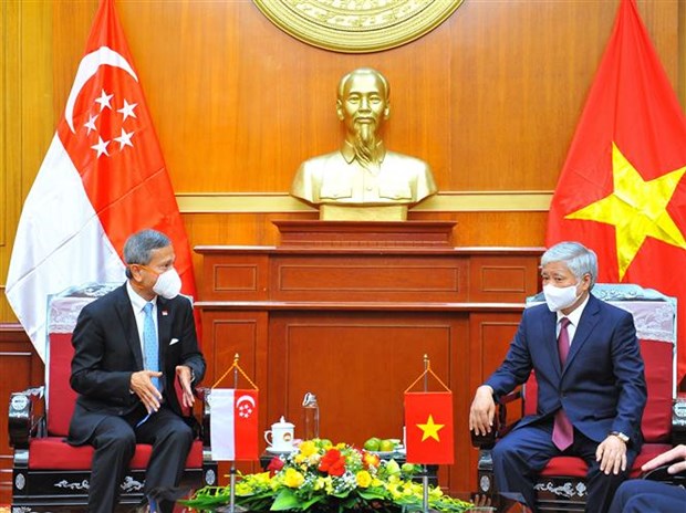 越南政府总理范明政会见新加坡外长 hinh anh 2