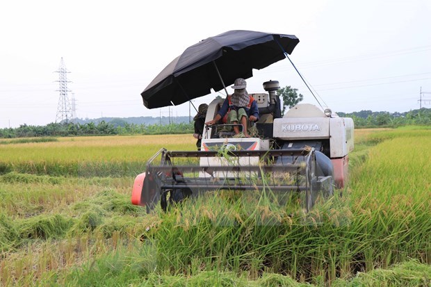 外媒：越南提高农业机械化水平 hinh anh 1