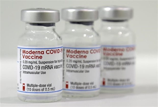 越南批准紧急使用新冠疫苗Moderna hinh anh 1