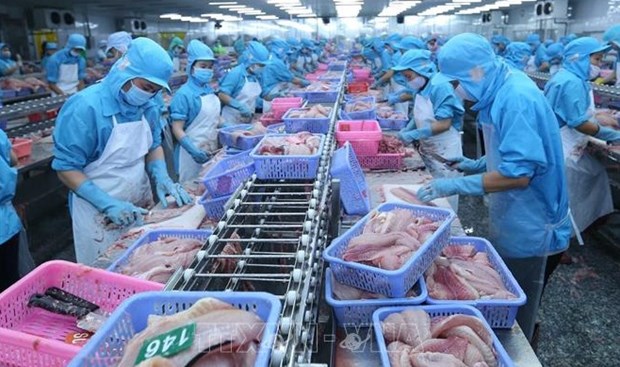 美国公布针对越南巴沙鱼的反倾销复审终裁的结果 hinh anh 1