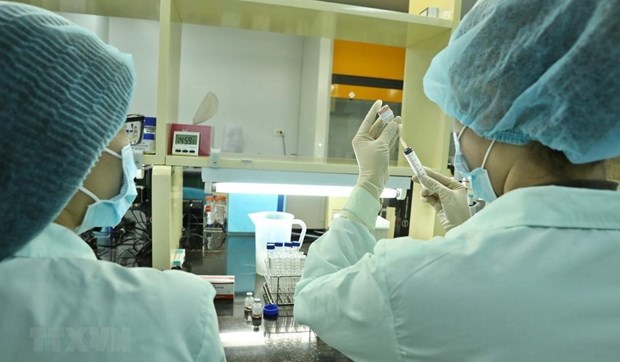 建议世界银行支持越南开展新冠疫苗研究与生产工作 hinh anh 2