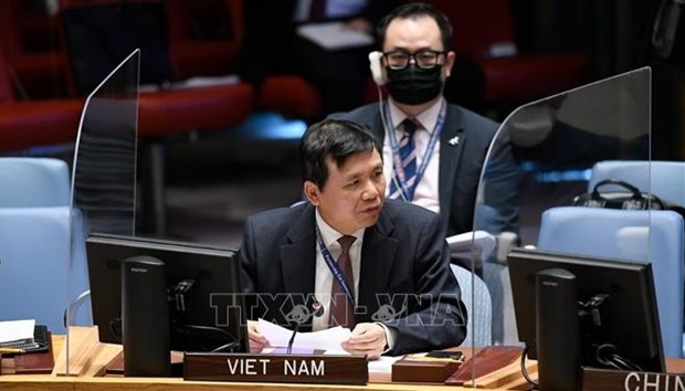 近100个国家响应越南的倡议成立“UNCLOS之友”小组 hinh anh 1