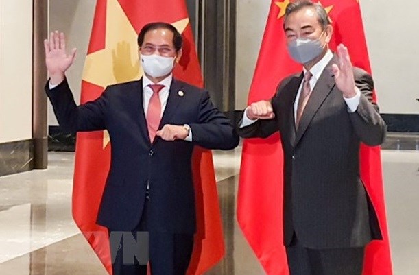 越南驻中国大使范星梅：受新冠肺炎疫情影响 越中关系依然保持良好的发展势头 hinh anh 3