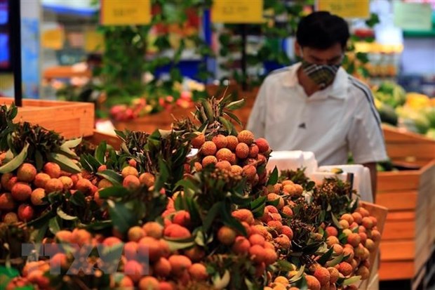越南农产品征服欧洲市场 hinh anh 1