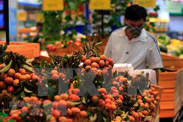 2021年前6月越南果蔬出口额增长17.4% hinh anh 1