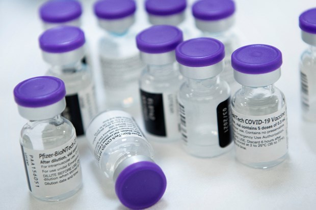 首批辉瑞疫苗将于7月运抵越南 hinh anh 1