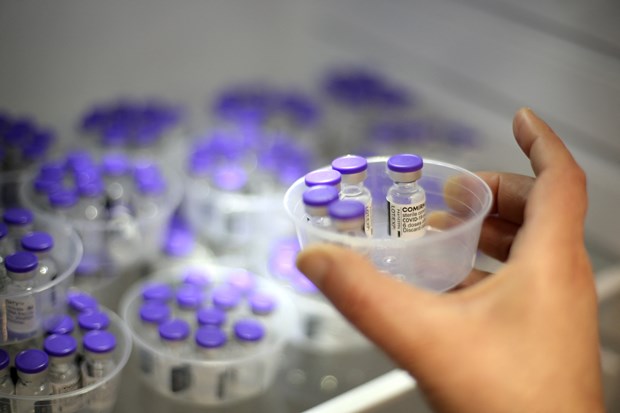 美国向马来西亚捐赠100万剂辉瑞新冠疫苗 hinh anh 1