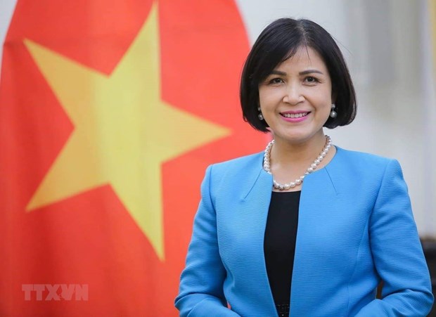 越南支持贸发会议帮助发展中国家促进可持续复苏 hinh anh 1